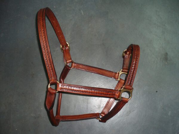 Halsters op maat gemaakt