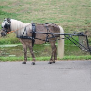 AWA Single Harness Economic