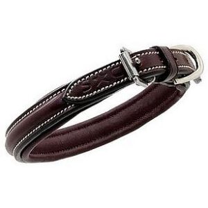 Dog collar Fairway