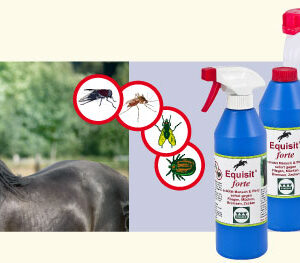 Pfiff Equisit® forte (insectenbescherming)