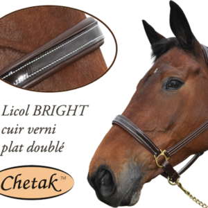 Privilège Equitation Chetak Licol BRIGHT