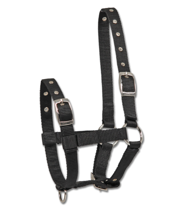Waldhausen Awa Foalhalter Triple