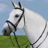 Waldhausen Star Martingale - Afbeelding 2