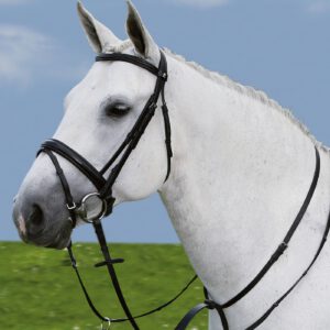 Waldhausen Star Martingale