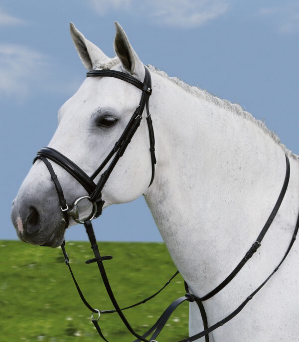 Waldhausen Star Martingale