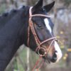 Waldhausen X-Line Bridle Santander - Afbeelding 2