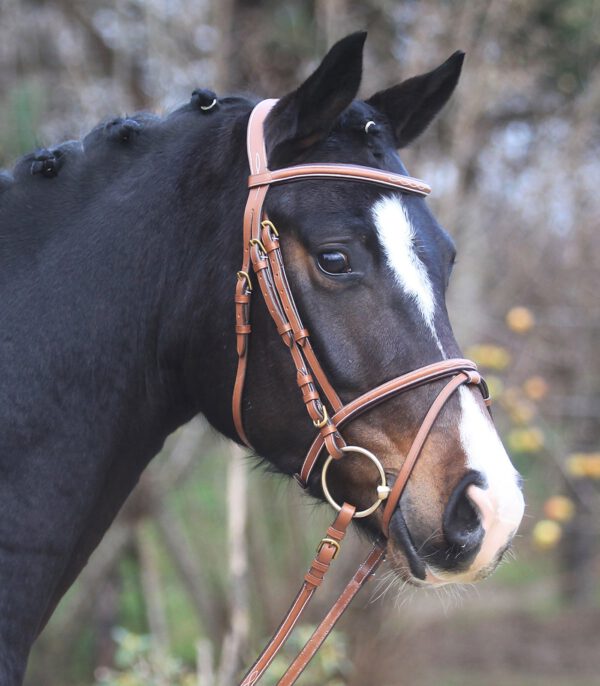 Waldhausen X-Line Bridle Santander