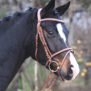 Waldhausen X-Line Bridle Santander