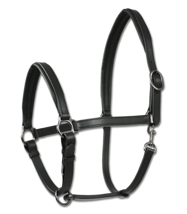 Waldhausen Wembley X-Line Leather Halter Finesse II