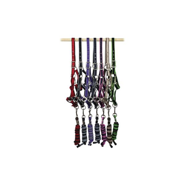 Halter + lead rope set KenTaur