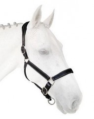 Silvercrown Licol / Halter La Baule