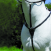 Waldhausen Breastplate - Afbeelding 2