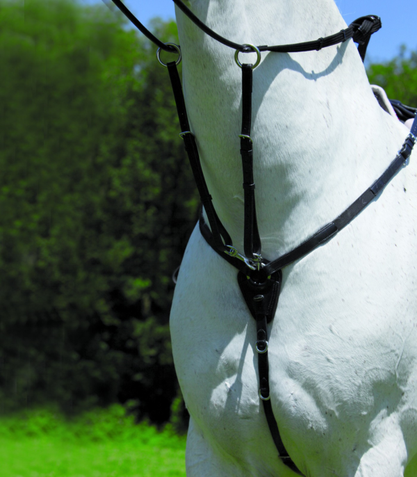 Waldhausen Breastplate