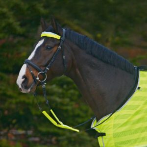 Waldhausen REFLEX Bridle-Set