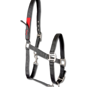 Waldhausen Safety Halter