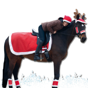 Waldhausen Christmas-Set for horse & rider