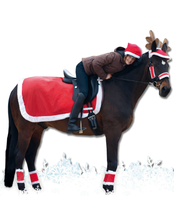 Waldhausen Christmas-Set for horse & rider
