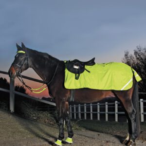 Waldhausen REFLEX Hind Exercise Sheet