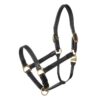 JP Saddlery - NT stalhalster Stubben - Afbeelding 2