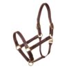 JP Saddlery - NT stalhalster Stubben - Afbeelding 3
