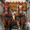 JP Saddlery - Menhoofdstel Webz - Zilco - Afbeelding 4