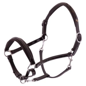 JP Saddlery - BR laklederen halster Edinburgh Full size