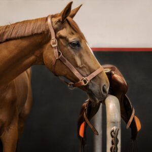 JP Saddlery - NT stalhalster Stubben