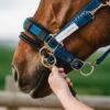 JP Saddlery - LK Controler by Stubben - Afbeelding 2